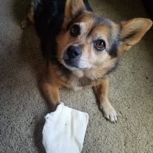 Meet your Posher, Dani